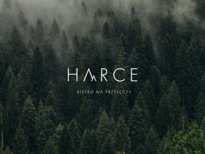 Ilustracja do: HARCE